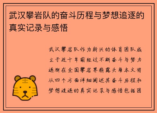 武汉攀岩队的奋斗历程与梦想追逐的真实记录与感悟