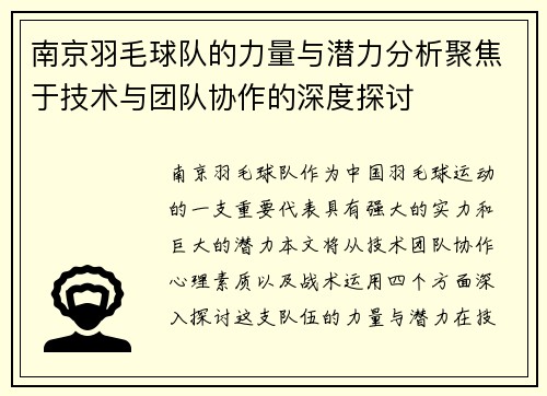 南京羽毛球队的力量与潜力分析聚焦于技术与团队协作的深度探讨